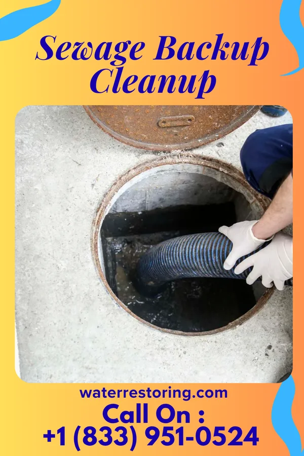 Sewage Backup Cleanup in Dixon, NE