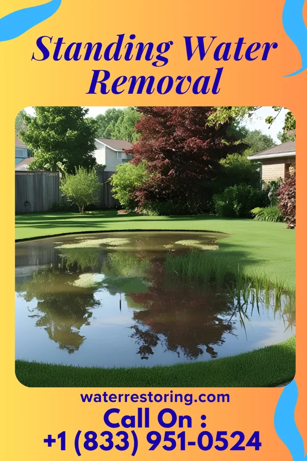 Standing Water Removal in Dixon, NE